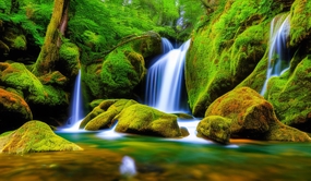 绿色盎然山涧溪流图片